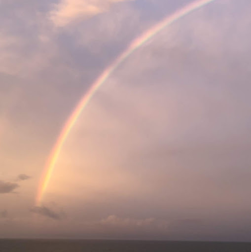 Robin Chandler Photo 34