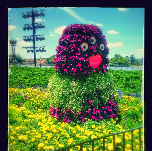 Jane Pearce Photo 11