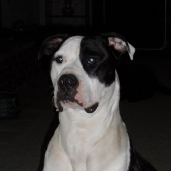 Tammy Roth Photo 21