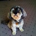 Cindy Robinson Photo 15