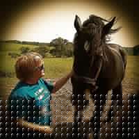 Jodi Mclaughlin Photo 15