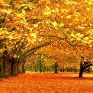 Cindy Pedraza Photo 12