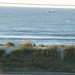 Cheryl Combs Photo 38