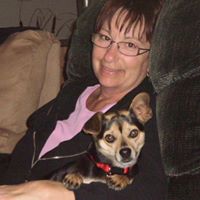 Pat Koester Photo 6