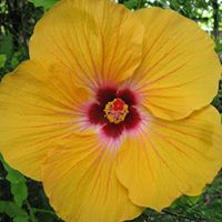 Sheryl Rodgers Photo 18