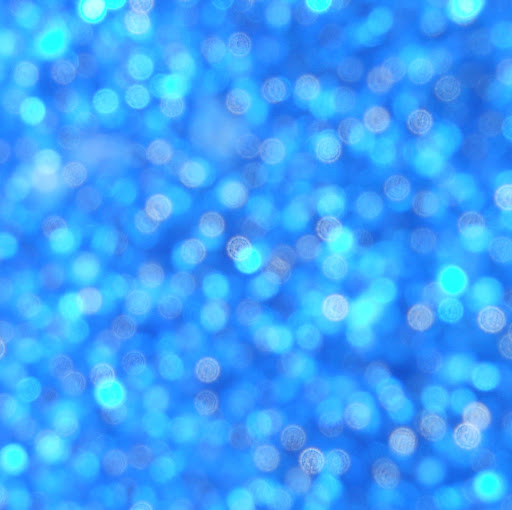 Tracy Schmitt Photo 11