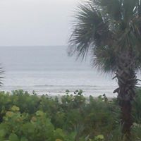 Shannon Cone Photo 6