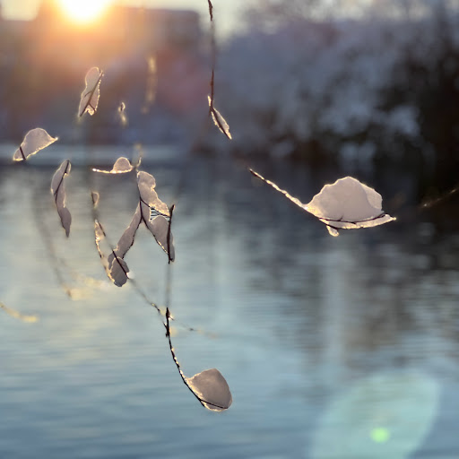 Christine Page Photo 10