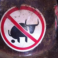 Phillip Rich Photo 17