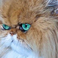 Nancy Mcmurray Photo 10