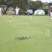 Jill Howe Photo 36