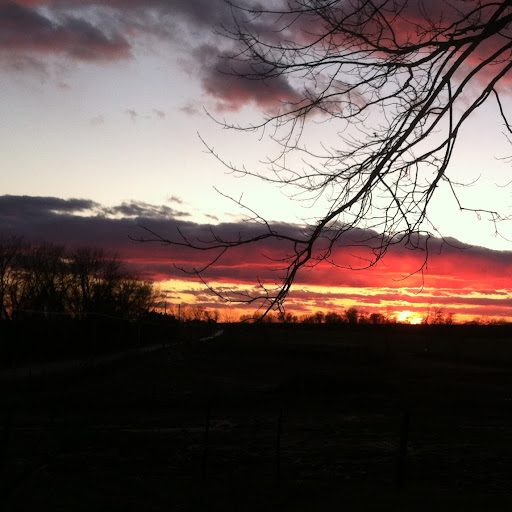 Nancy Holbrook Photo 6