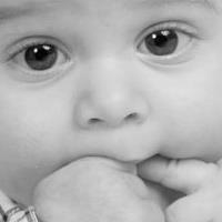 Margaret Block Photo 18