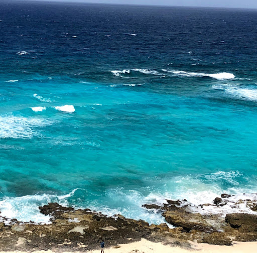 Chester Davis Photo 35