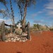 Michael Tobin Photo 32