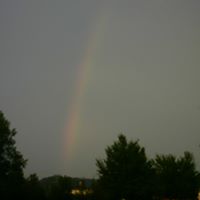 Beverly Burleson Photo 23