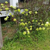 Judith Adams Photo 4 Judith Adams Photo 4