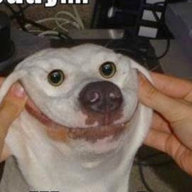 Tommy Webster Photo 18