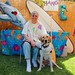 Diane Harper Photo 16