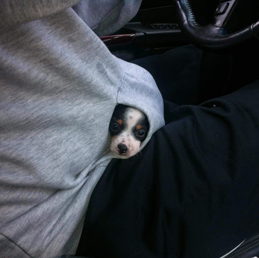 Cynthia Ritchie Photo 15