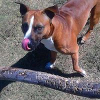 Derek Hunter Photo 14