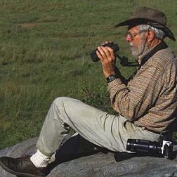 Richard Estes Photo 39