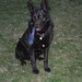 Rick Shepherd Photo 10