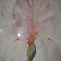 Karen Schroeder Photo 2