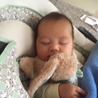 Carol Hubbard Photo 43