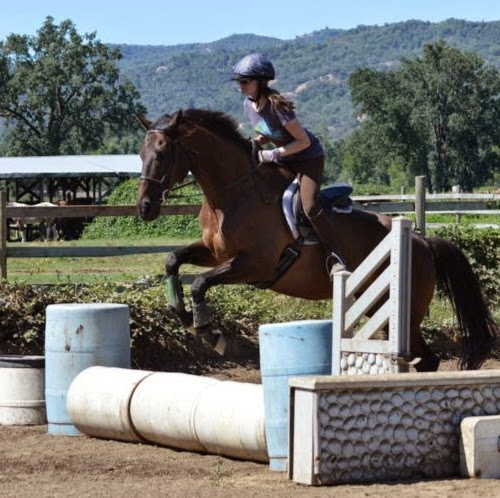 Alyssa Crawford Photo 10