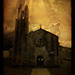 Maria Tellado Photo 11