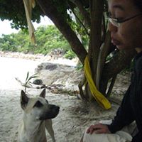Zhi Zhang Photo 22