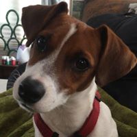 Kathy Richard Photo 14