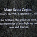 Marc Scott Photo 16