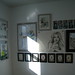 Elizabeth Coyne Photo 29