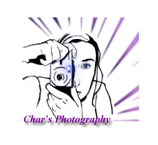 Charlene Bennett Photo 3