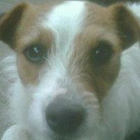 Matthew Morse Photo 46