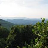 Mary Gurley Photo 3