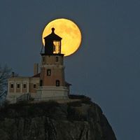 Susan Gaines Photo 13 Susan Gaines Photo 13