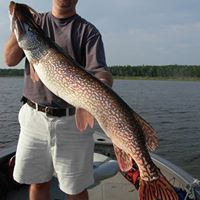 Kevin York Photo 9