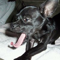 George Kraus Photo 5