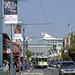Jefferson Taylor Photo 11