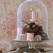 Dorothy Stone Photo 13