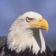 David Miley Photo 24