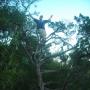 Gregory Hunt Photo 29