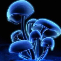 Alexandra Gil Photo 23