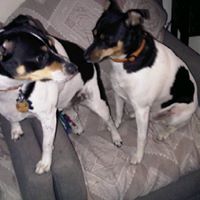 Jeannette Reynolds Photo 26