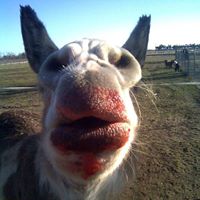 Trey Townsend Photo 23