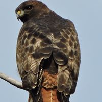 Brian Nance Photo 14