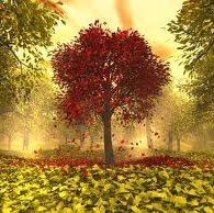 Sarah Walsh Photo 17 Sarah Walsh Photo 17